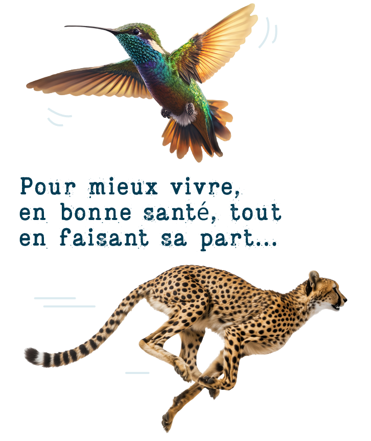 Pour mieux vivre, en bonne santé, tout en faisant sa part...